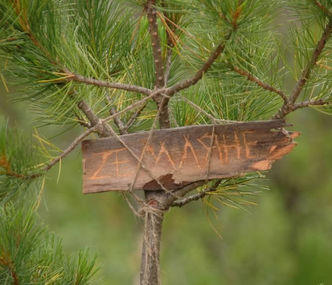 Галина Барягина | Москва