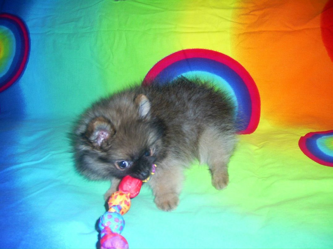 Алиса Парамохина | Москва