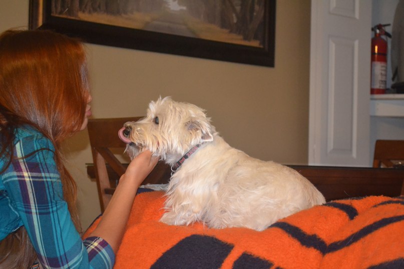 Галина Пашинская | 