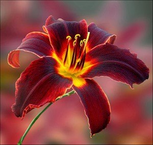 Юлия Захарова | Санкт-Петербург