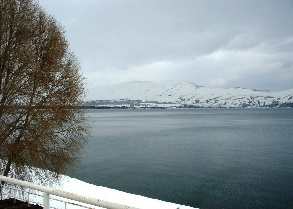 Анюта Маркелова PangoLin | Солнечногорск