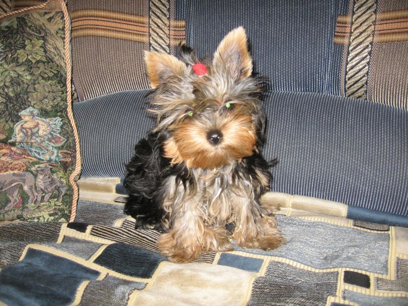 Марк Пазынин | Белгород