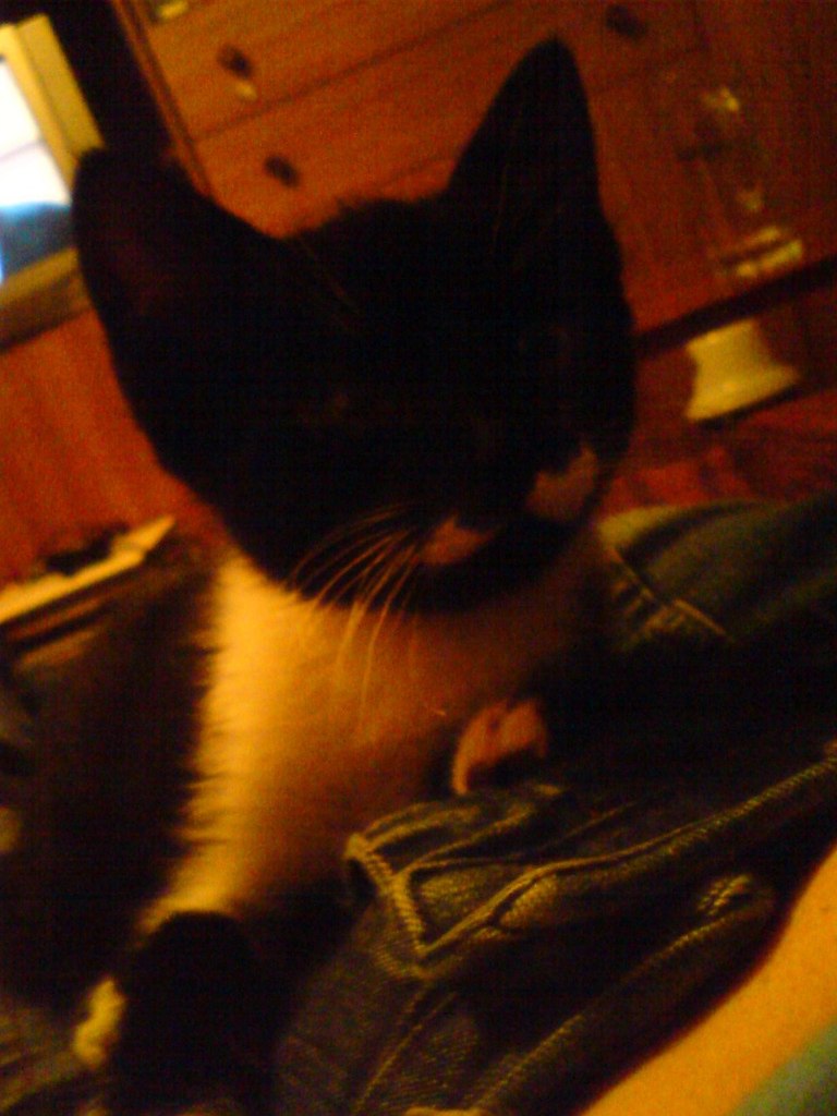 Марина Курбатова | Ухта