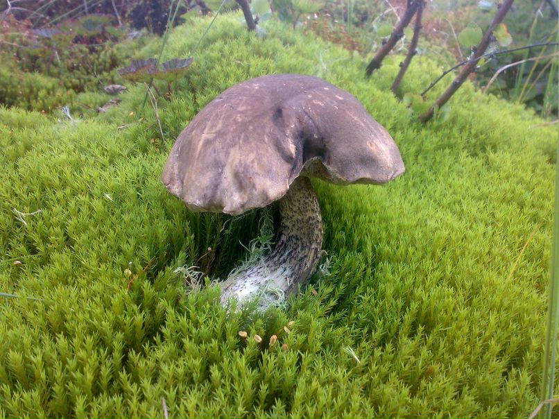 Серёга Мокляк | 