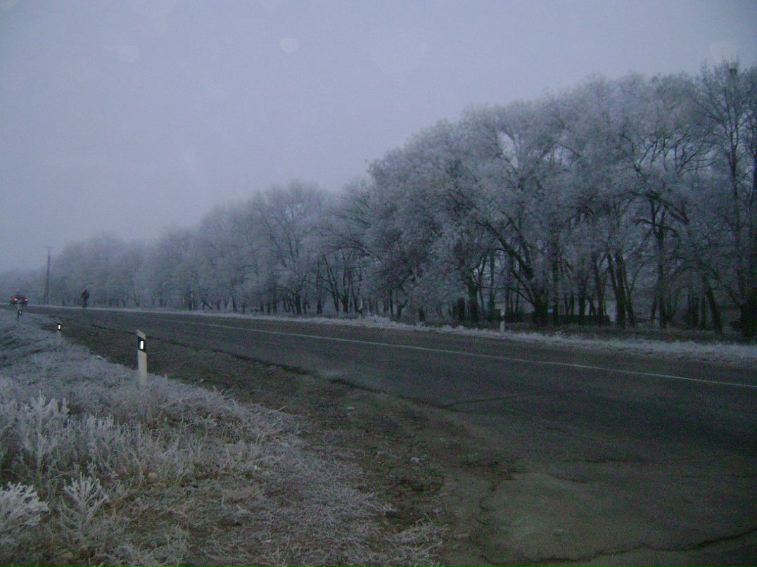 Виктория Полисько | Кропивницкий / Кировоград