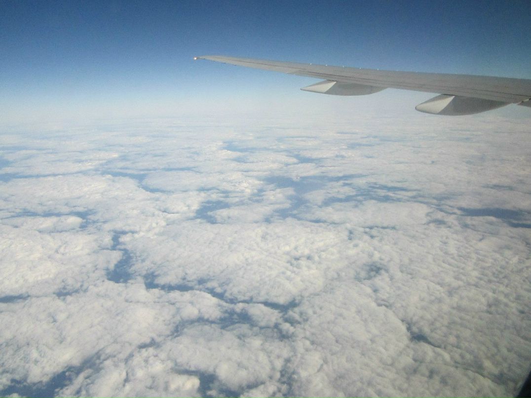 Дима Симонов | Москва