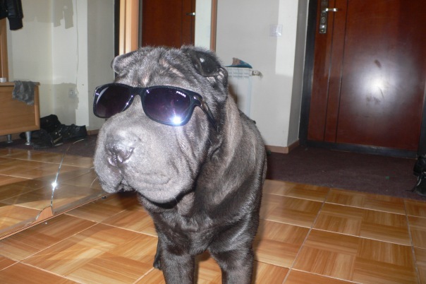 №154, Анна Родионова, 36 лет, Барнаул №154, Анна Родионова, 36 лет, Барнаул