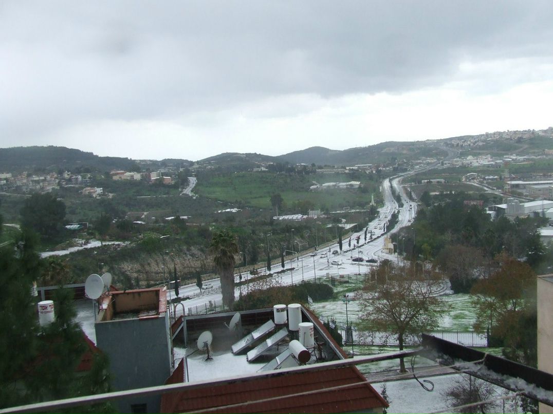 Ольга Вервека | 