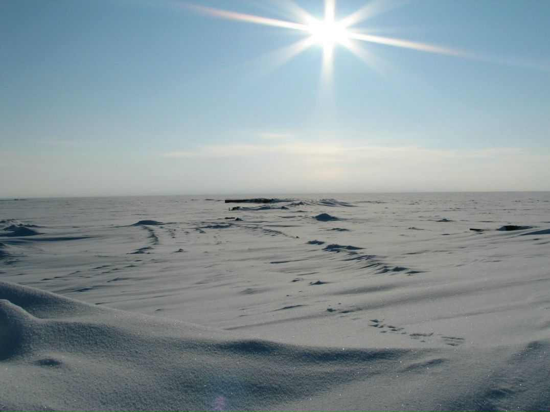 Константин Дураков Саныч | Нижний Тагил