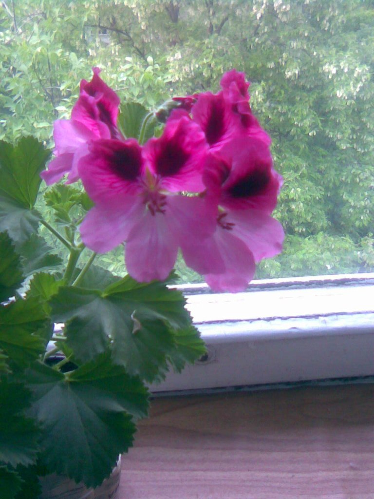 Ольга Красникова | Ростов-на-Дону