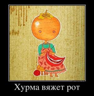 Александра Мозговых | Новосибирск