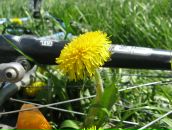 №10, Андрей Шпартько, 4.6, Санкт-Петербург, Россия №10, Андрей Шпартько, 4.6, Санкт-Петербург, Россия