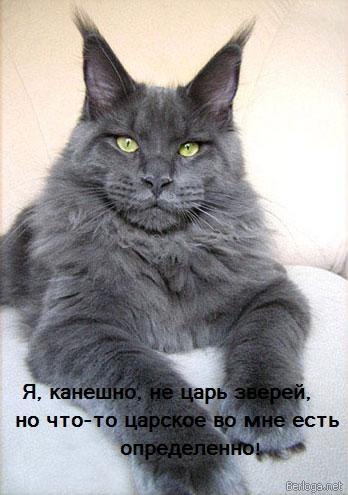 Aleksandr Kushnir | Житомир