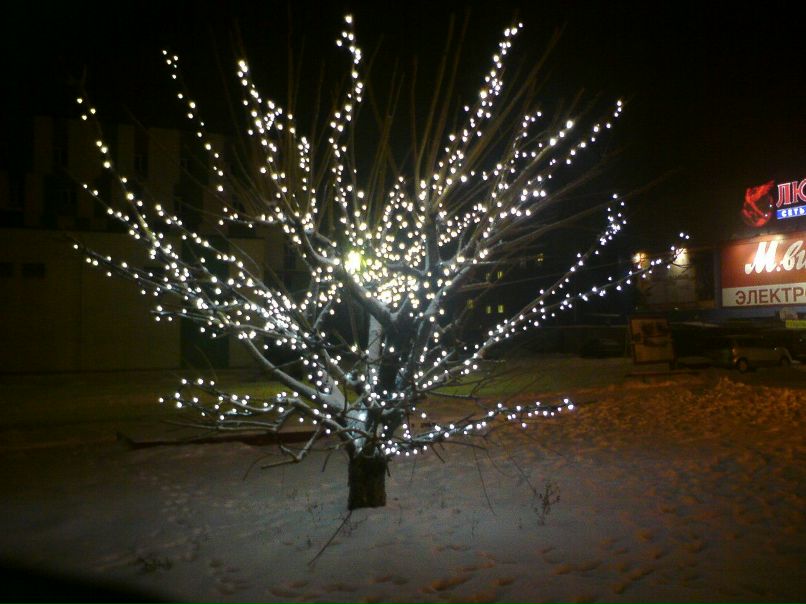 Иван Полилов | Рязань