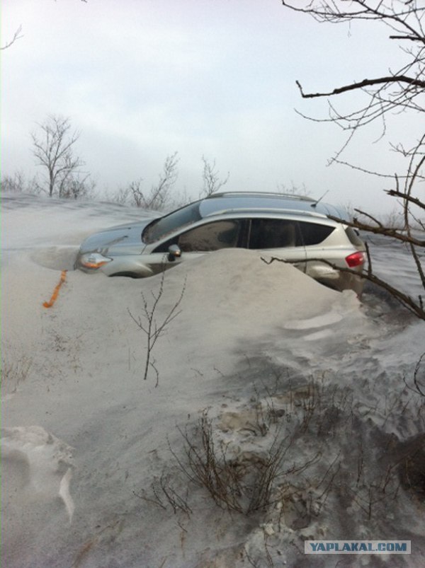 Саша Крымский | Севастополь