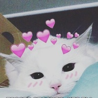 Аня Логинова | Курган