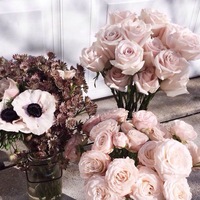 Аревик Мхоян | 