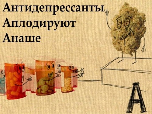 Антон Кривець | Ровно