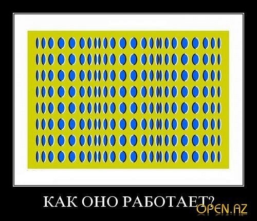 Димка Четин | Пермь