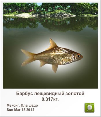 Анатолий Губарев | Краснодар