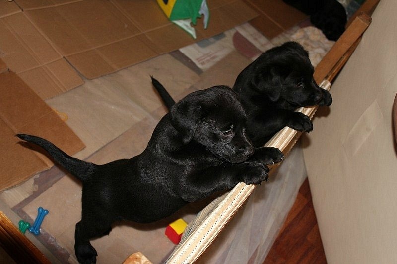 Bon Voyage Older | Уфа