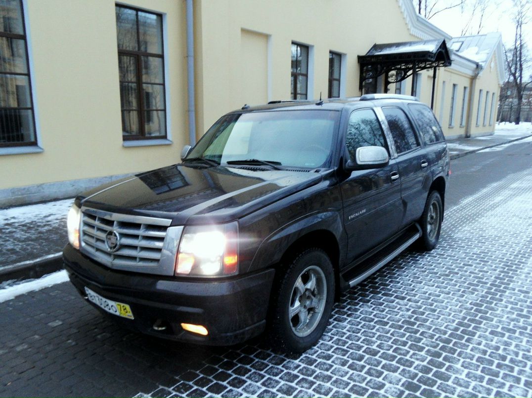 Антон Марков | Санкт-Петербург