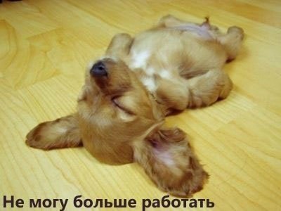 Ainura Amanbayeva | Алматы