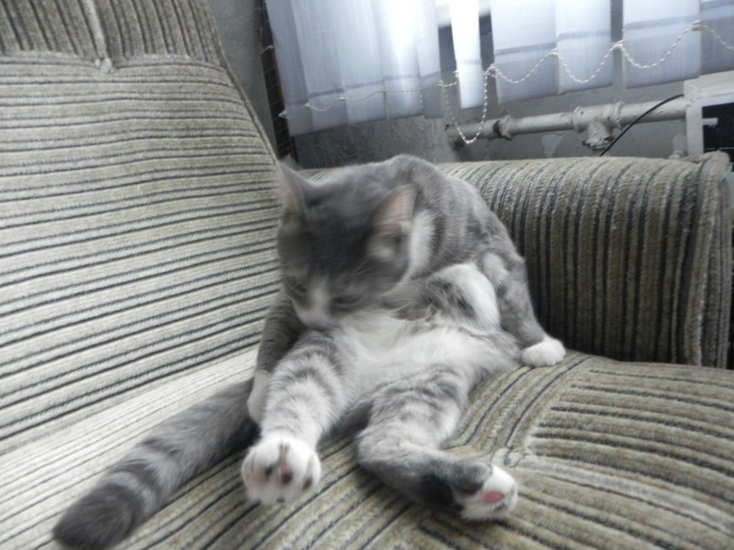 Максим Мусапиров | Санкт-Петербург