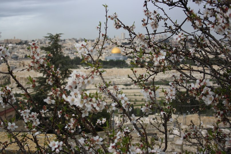 Helen White | Санкт-Петербург