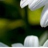 №11 Валентина Гамота 23.03: профиль, фото, статус - ВКонтакте