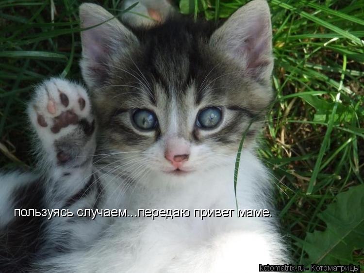 Алла Челомбитко | Одесса