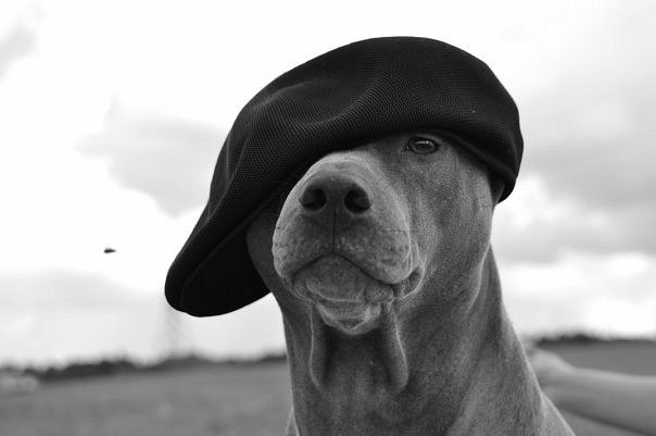 Александр Галкин | Днепр (Днепропетровск)