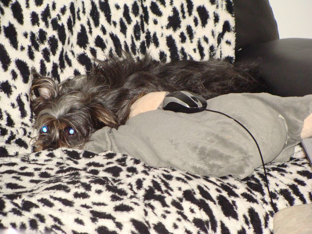 Иван Грахольский | Доброполье