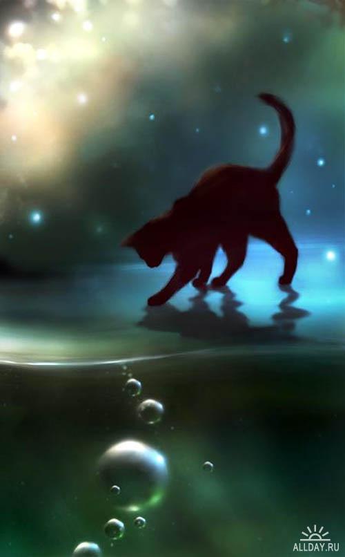 Диана Шанина | Санкт-Петербург