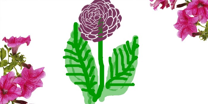 Зульфия Ирбаинова LAURA.RU | Санкт-Петербург