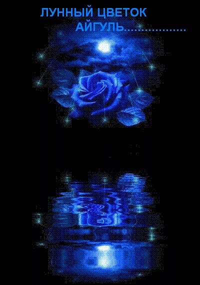 Айгуль Саитгазина | Казань