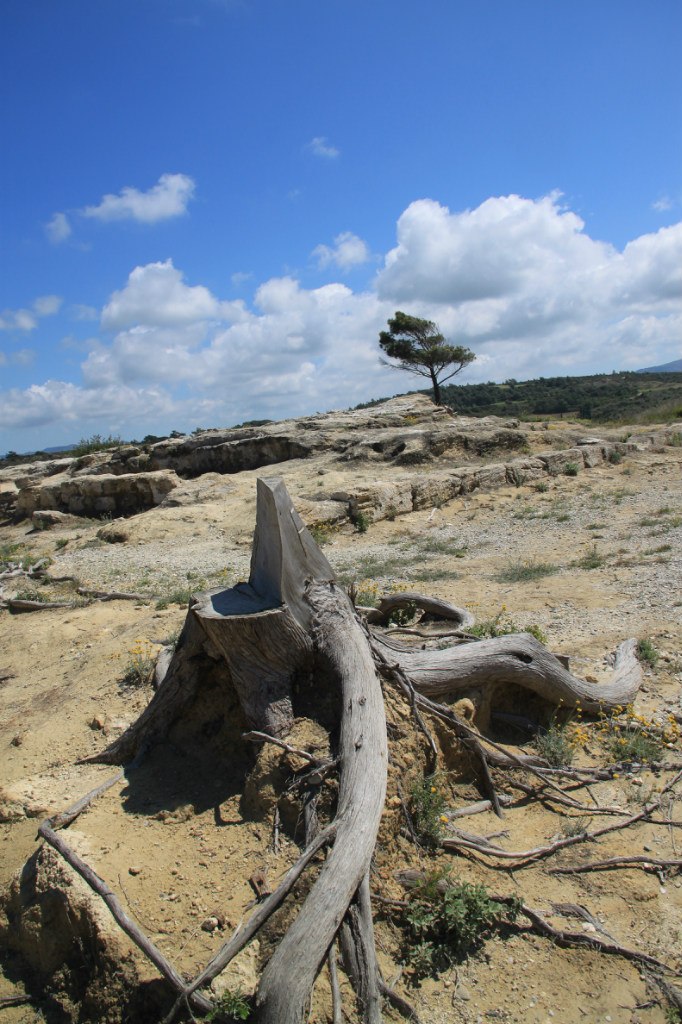 Ronald Shipitsyn | Беэр Шева