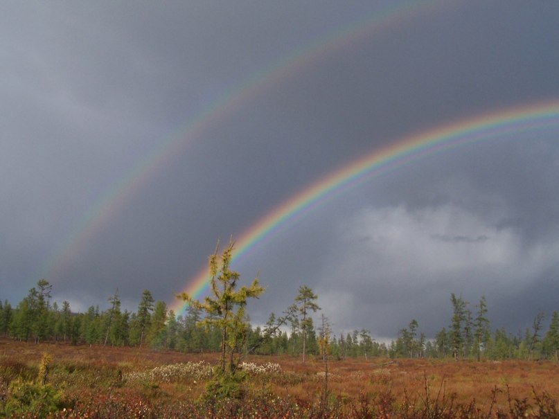 Павел Серкин | Кумора