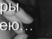 Юлия Дмитриева | Новосибирск