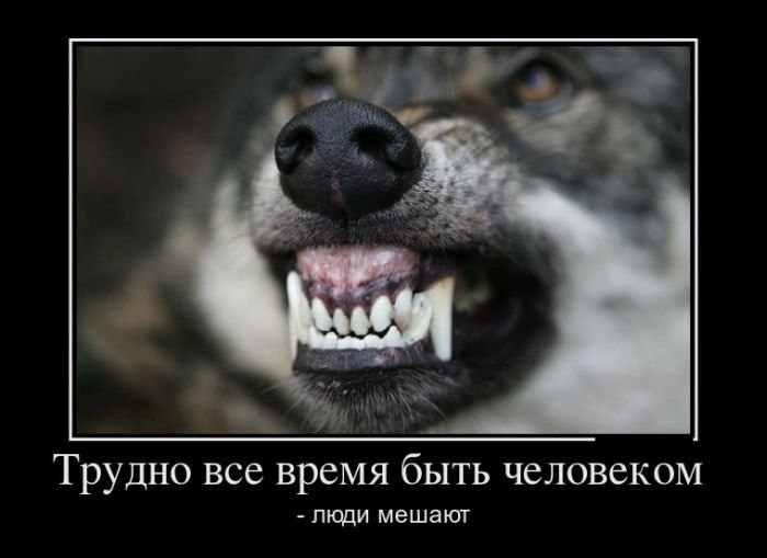 Олег Таволжанский ВЛАДИМИРОВИЧ | Киев