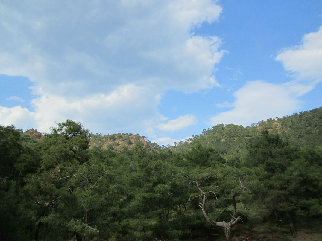 Александр Комаров | Иваново