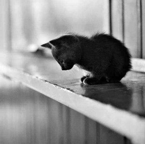 Наталия Тарашкевич | Минск