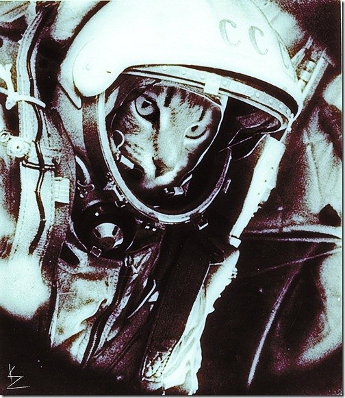 Илья Варфоломеев | 