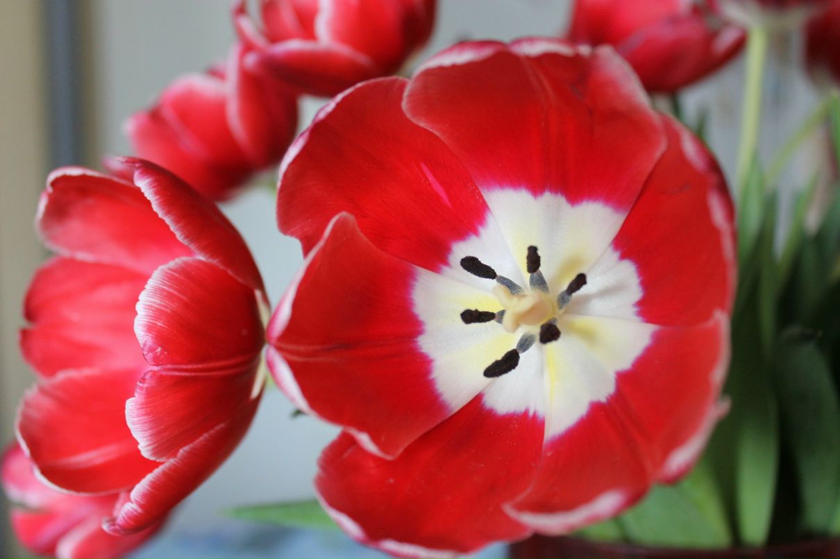 Юлия Загирова | Москва