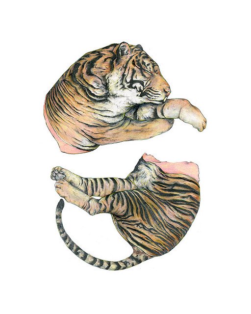 Ти Руки | Москва