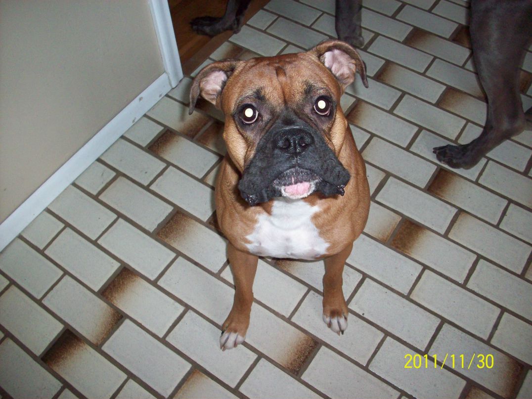 Елена Торбина | Burnsville