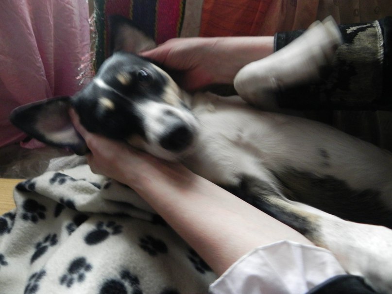 Татьяна Дёмина | Кривой Рог