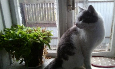 Анастасия Коновалова | Шуя