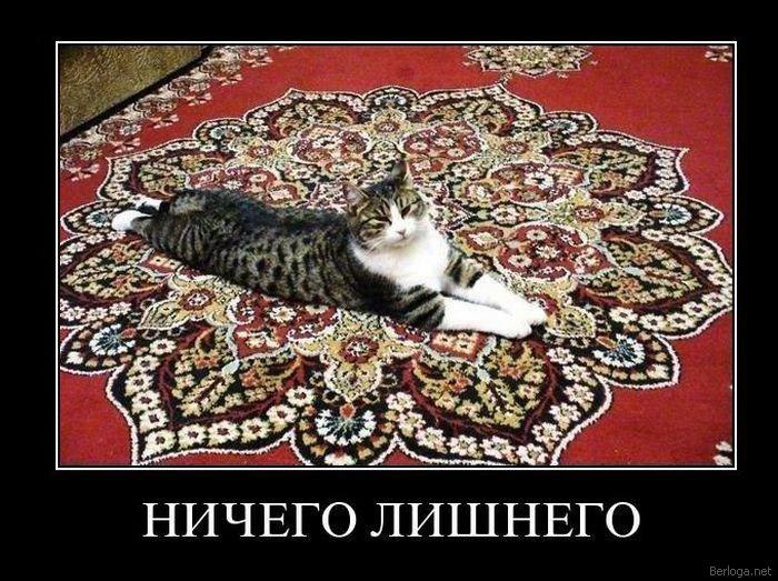 Дима Старовойтов | 