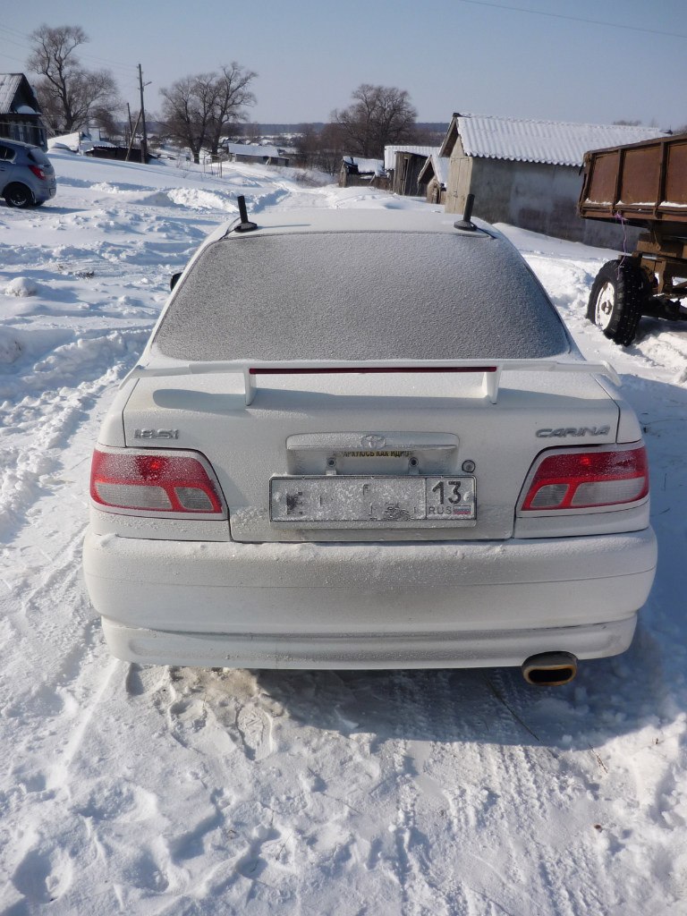 Михаил Локтев | Саранск